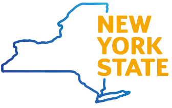 Social Determinants of Health Innovation in New York State